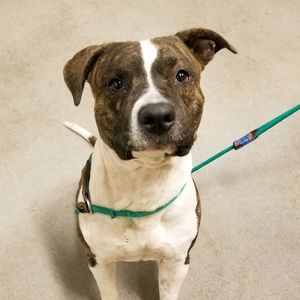 Meet your Posher, Jaime